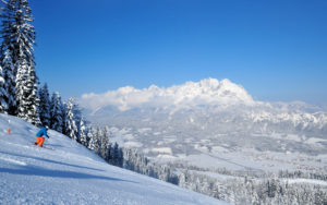 Seiwald Winter
