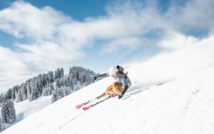 Seiwald Winter